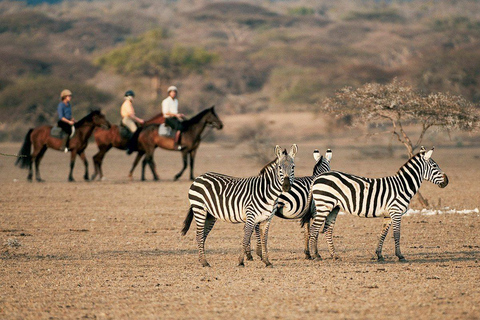 Marloth Park: Guided Horseback Safari with Wildlife Spotting