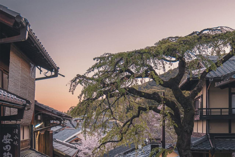 Kyoto Private Customized Day Tour with Guide and Vehicle