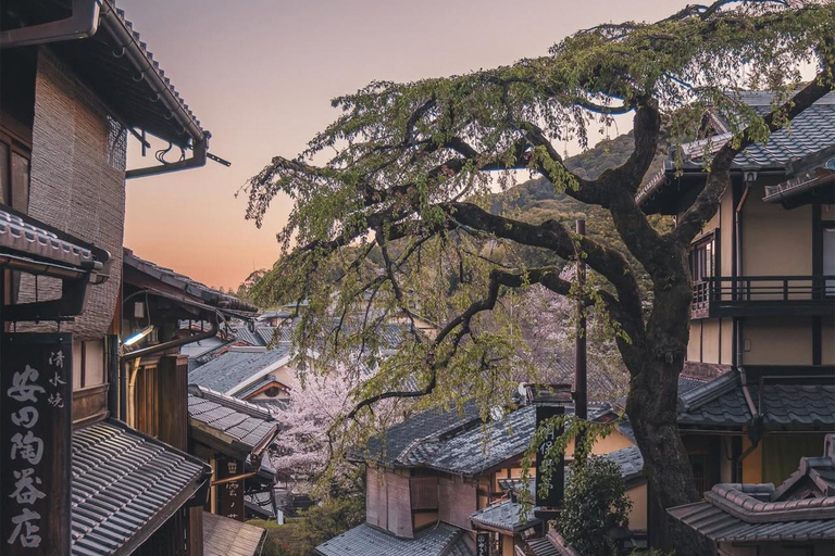 Kyoto Private Customized Day Tour with Guide and Vehicle