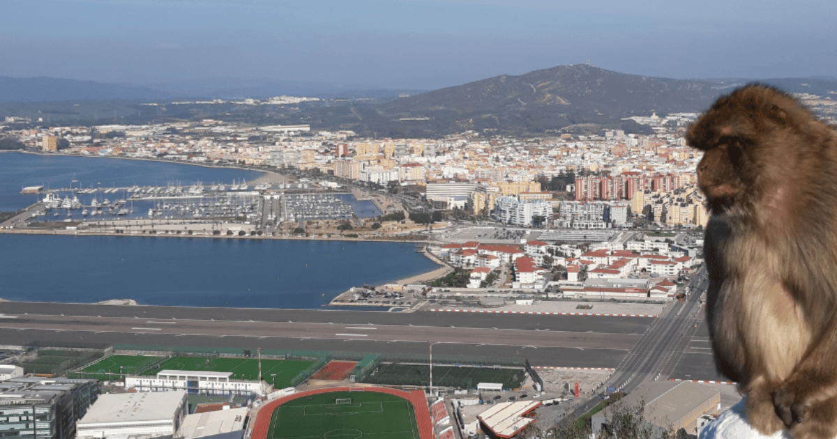 Gibraltar Tour guiado desde Torremolinos GetYourGuide