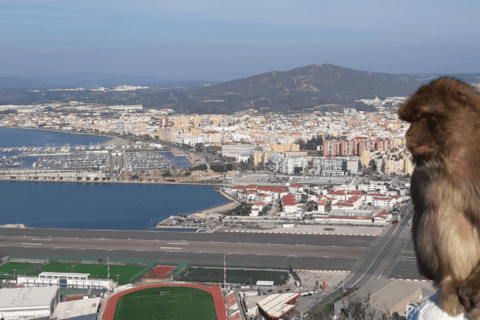 Visiter Gibraltar depuis la Costa del Sol