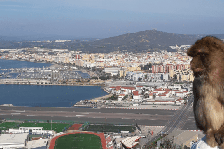 Gibraltar: Tour guiado desde la Costa Del SolDesde Málaga y la Costa del Sol: tour de Gibraltar