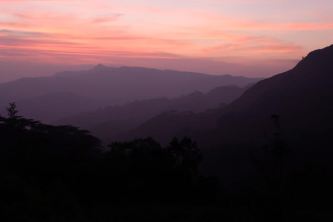 All-Inclusive Knuckles Mountain Range Full-Day Hiking Tour From Sigiriya/Dambulla:Knuckles Mountain Range Full-Day Tour