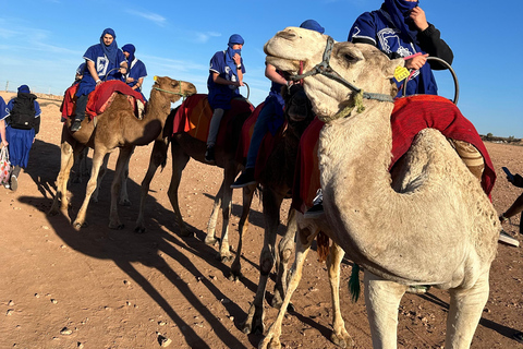 Marrakech : Agafay Desert Pack Quad Camel Middagsshow &amp; Pool