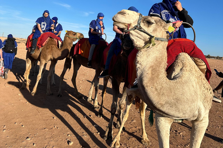 Marrakech : Agafay Desert Pack Quad Camel Cena Spettacolo e Piscina