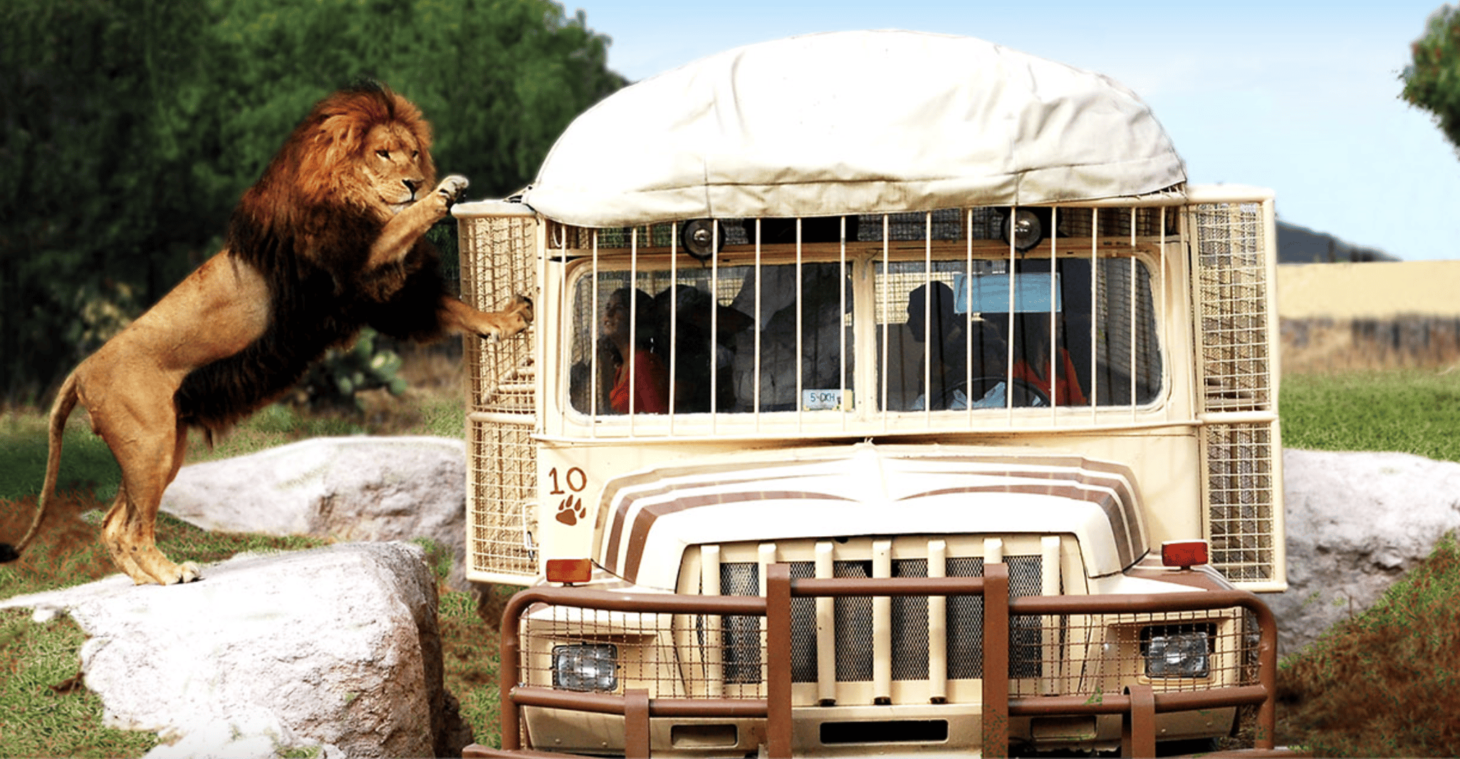 Teotihuacan: Entrance to Animal Kingdom Park; Adventure & Nature