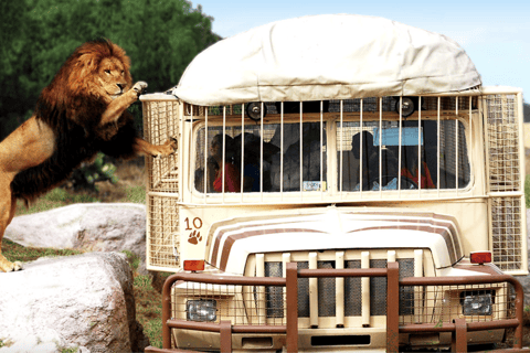 Teotihuacan: Ingång till Animal Kingdom Park; Äventyr &amp; Natur