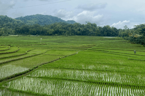 Yogyakarta: Hidden Paradise of Yogyakarta Waterfall & Swim Hidden Paradise & Natural Adventures–Transport Fee Separate