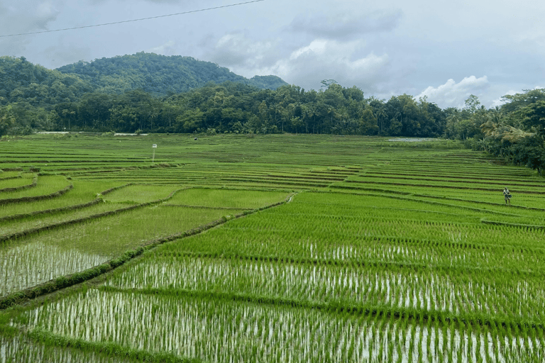 Yogyakarta: Hidden Paradise of Yogyakarta Waterfall & Swim Hidden Paradise & Natural Adventures–Transport Fee Separate