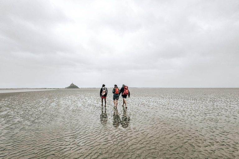 Bay of Mont Saint-Michel : Quicksands And Discovery Quicksands And Discovery + See the Tide Coming Up