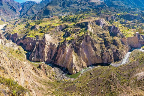 Vanuit Arequipa: Colca vallei 2 dagen eindigend in Puno