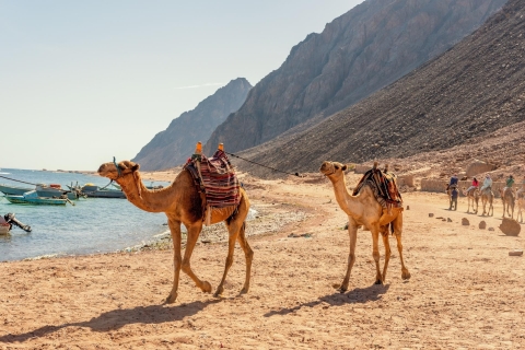 Depuis Sharm : Dahab - Principales attractions et activités - Camp de 2 jours