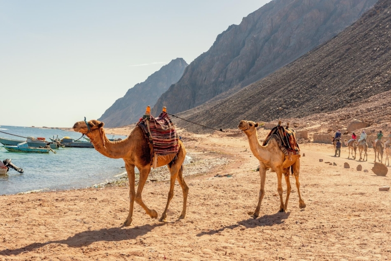 Z Sharm: 2-dniowy obóz w Dahab z najważniejszymi atrakcjami i aktywnościami