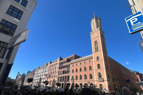 Hamburg Downtown Highlights: 90-Minute Guided Walking Tour Guided Tour in Danish: Hamburg Downtown Highlights – Guided Walking Tour