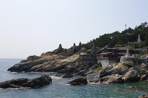 Journée liberté à Busan, la Marseille de Corée Journée 8h 10h-18h 2-3 personnes