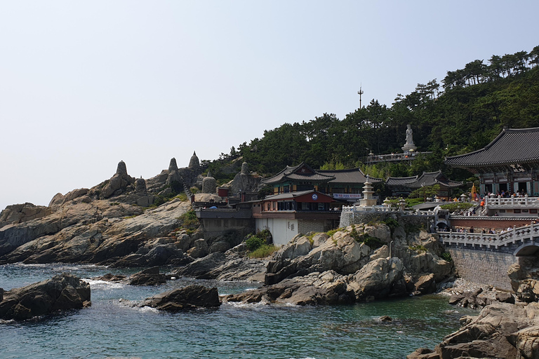 Journée liberté à Busan, la Marseille de Corée Journée 8h 10h-18h 2-3 personnes