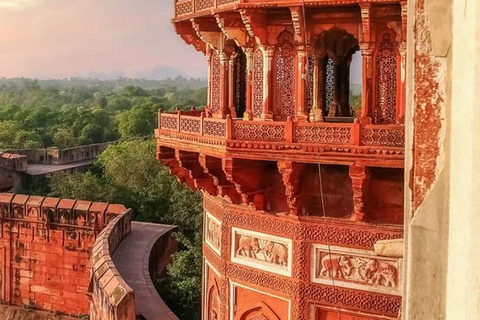 Visite du Taj Mahal au lever du soleil depuis Delhi