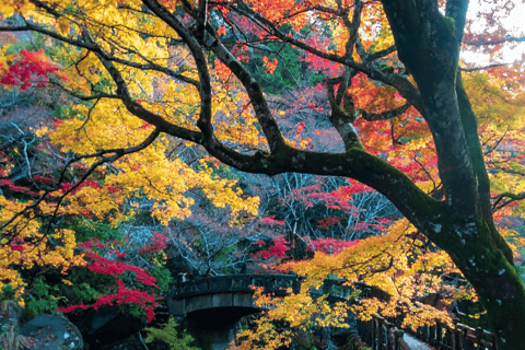 Tokyo: Nikko National Park Private Tour Hotel Pickup & Drop