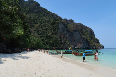 Phi Phi: Ganztagestour mit Longtail und Sonnenuntergang &amp; Plankton Tour