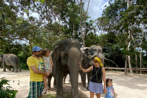 Siem Reap: Elephant Forest, Banteay Srey & Grand Circuit