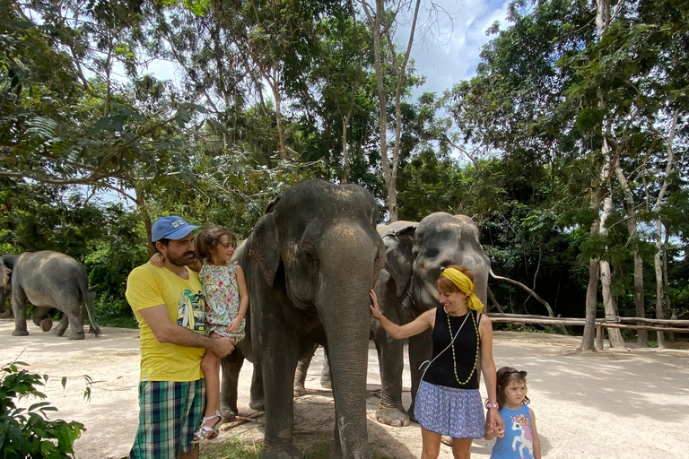 Siem Reap: Elephant Forest, Banteay Srey & Grand Circuit