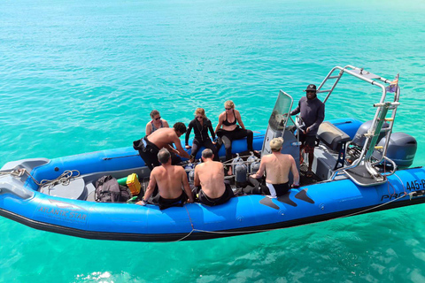 First Dive in Santa Maria, Cape Verde