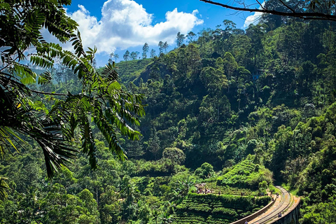 From Kandy: to Ella Scenic Train 3rd Class Reserved Seats