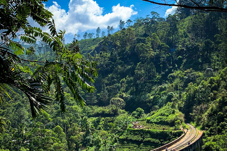 From Kandy: to Ella Scenic Train 3rd Class Reserved Seats