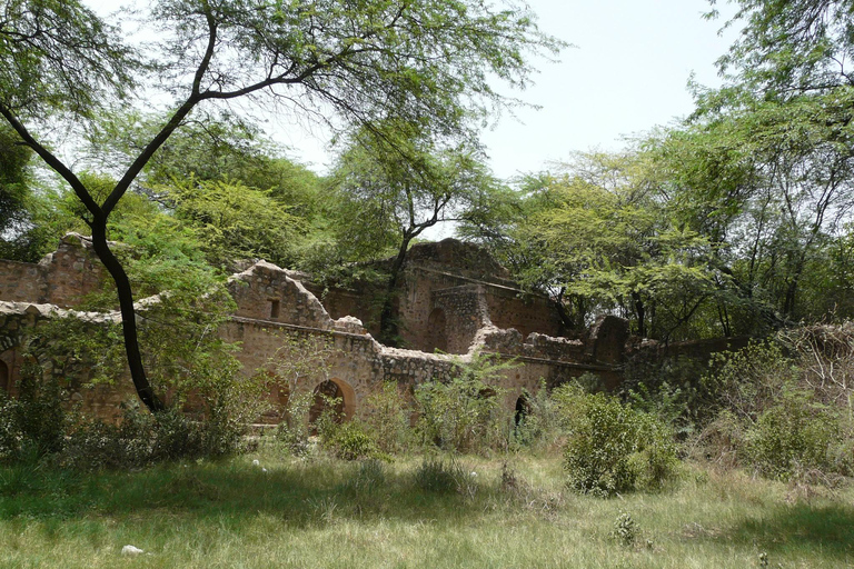 Visita rústica a Delhi y sáltate las trampas para turistas