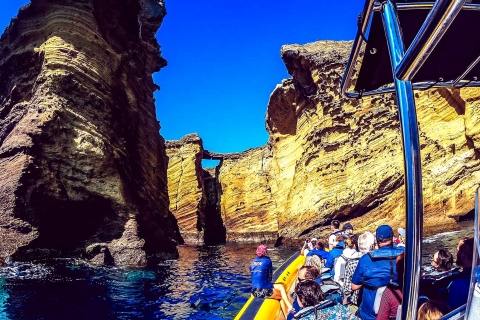 Azoren: walvissen spotten en een Islet Boat-rondvaart