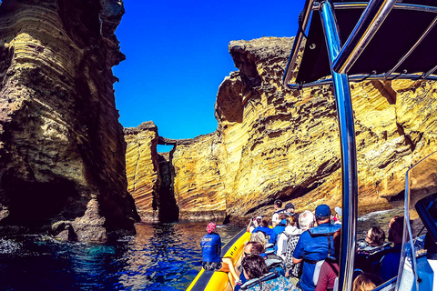 Azores: avistamiento de ballenas y tour en barco al islote