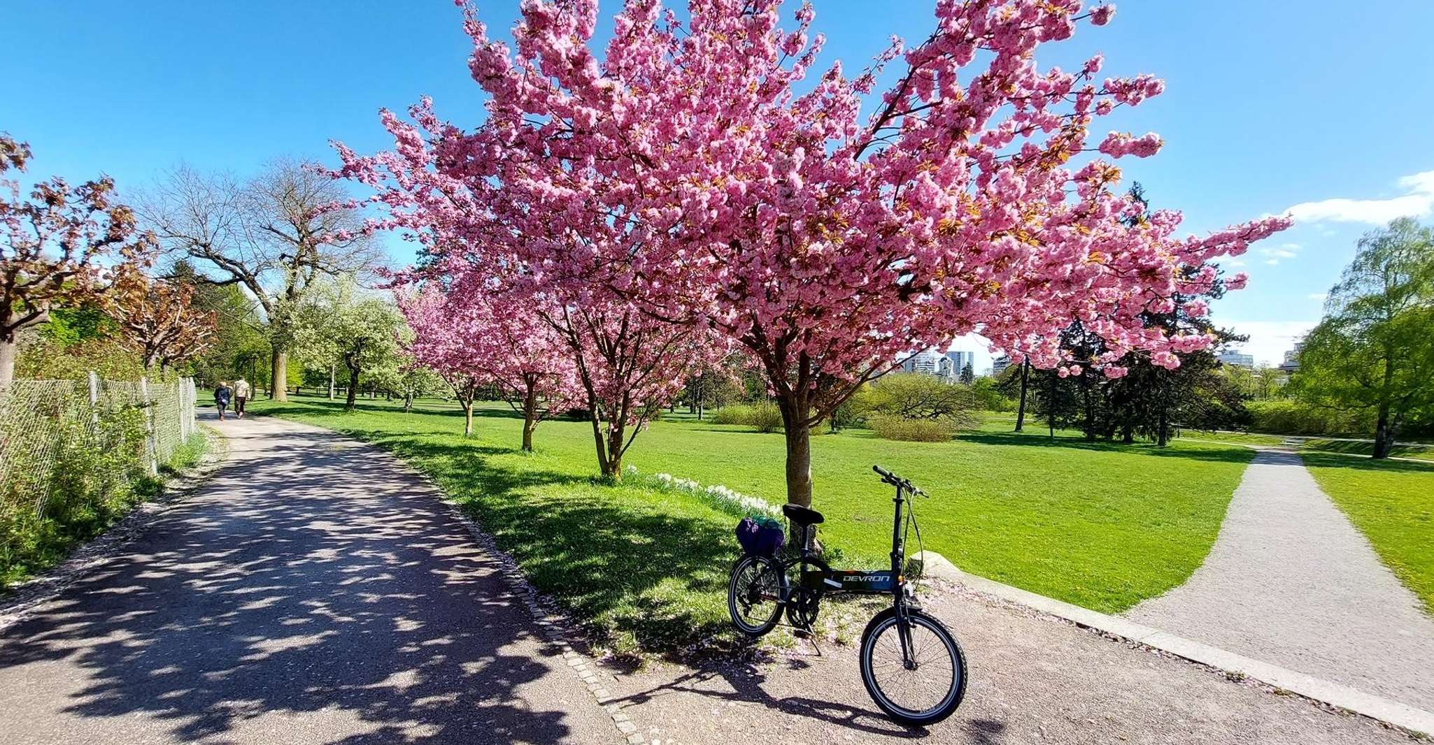 Ljubljana Sightseeing Tour by E-bikes - Housity