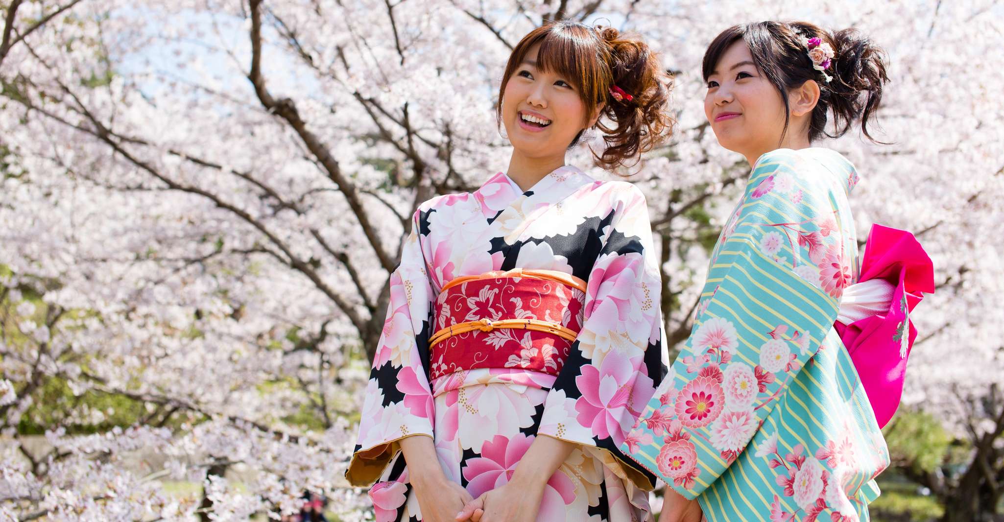 Kyoto: 1 Day Traditional Japanese Kimono Rental Experience