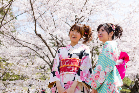 Kyoto: Kimono-Erlebnis in Gion