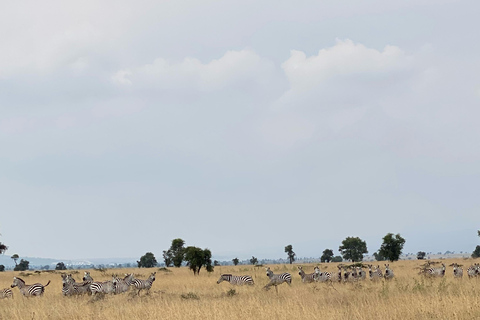 Nairobi: begeleide fietssafari met transfer en maaltijdNairobi: begeleide fietssafari met transfers (zonder maaltijden)