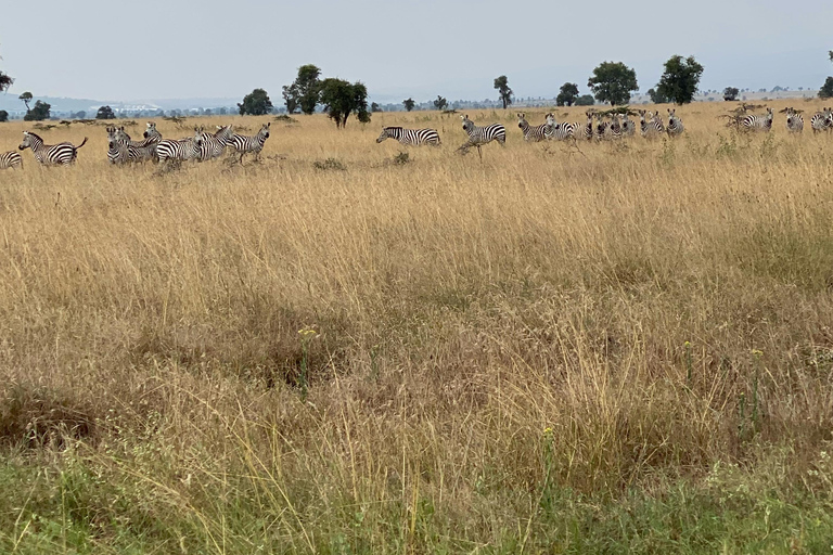 Nairobi: begeleide fietssafari met transfer en maaltijdNairobi: begeleide fietssafari met transfers (zonder maaltijden)