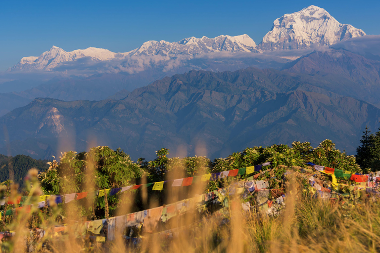 Pokhara: 3-Day Ghorepani and Poon Hill Sunrise Himalaya Trek Private Trek Tour with Meals Included (Full Package)