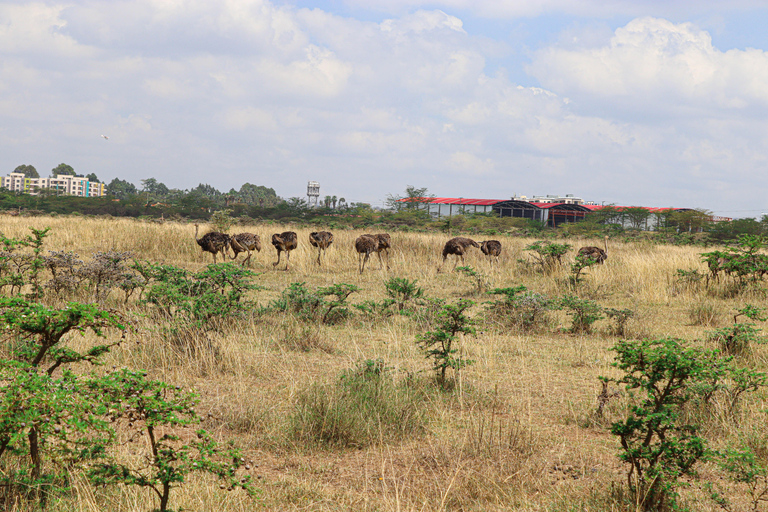 Nairobi National Park