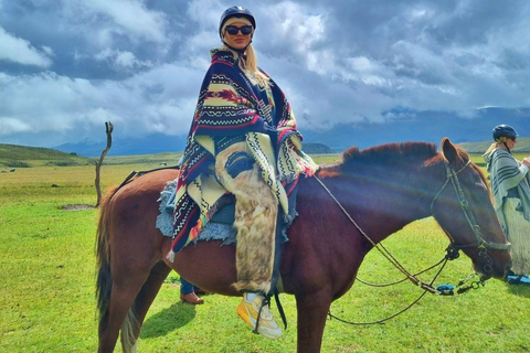 Cotopaxi: 2-Hour Horseback Riding and Limpiopungo Lagoon from Quito