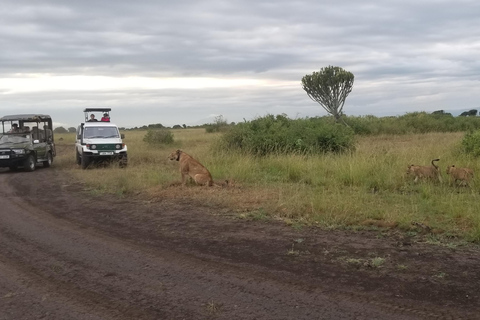 Desde Kampala: Safari de 3 días a las cataratas Murchison con excursión a los rinocerontes