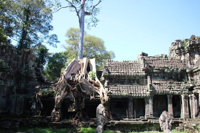 Siem Reap: 3-daagse budgettour met Angkor Wat &amp; dorpsbezoek