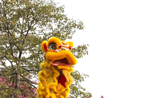 Foshan: Private Wing Chun Experience & Temple Visit