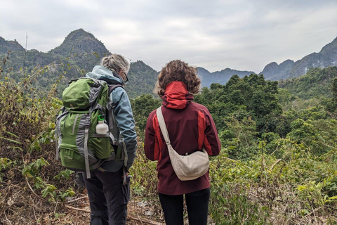 Half Day Hiking to Cat Ba National Park with a Guide