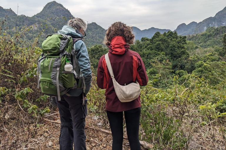 Half Day Hiking to Cat Ba National Park with a Guide