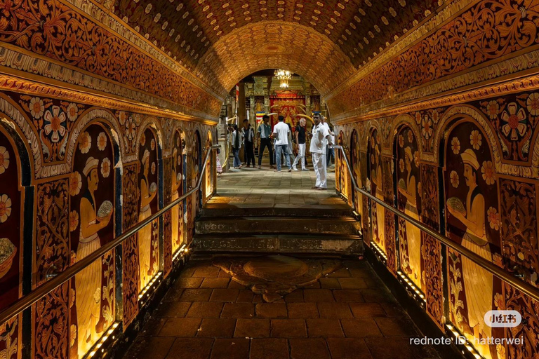 Explore Sri Lanka in 4 Days – Culture, Nature & Adventure