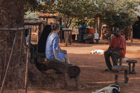 Livingstone: Passeio pela Vila Mukuni com Refeição TradicionalLivingstone: passeio pela aldeia de Mukuni com refeição tradicional