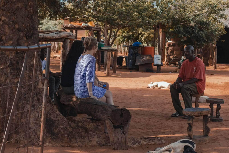 Livingstone: Passeio pela Vila Mukuni com Refeição TradicionalLivingstone: passeio pela aldeia de Mukuni com refeição tradicional