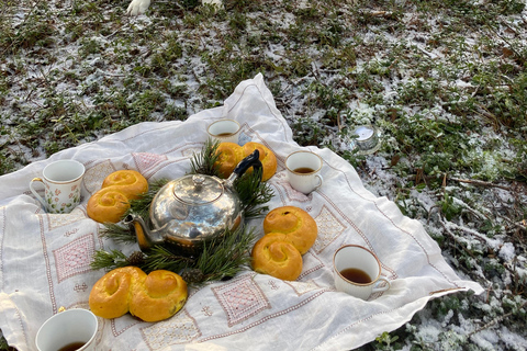 Stockholm: Dog Walk in Nature Reserve with Swedish Fika