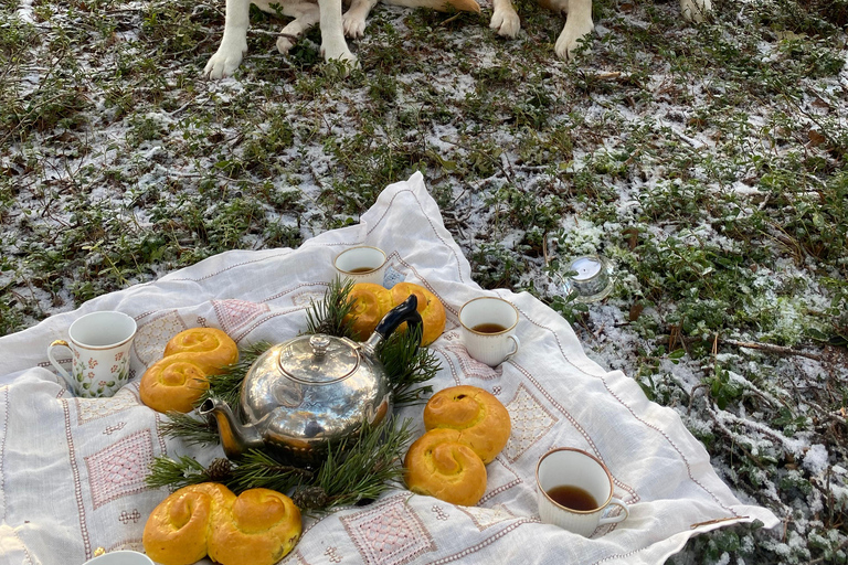 Stockholm: Dog Walk in Nature Reserve with Swedish Fika