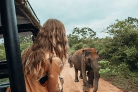 Sri Lanka e-Reizen en Tours : Betrouwbare transportoplossing